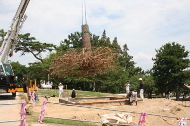 宇部の木 tree of ube