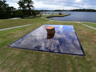 宇部の木 tree of ube