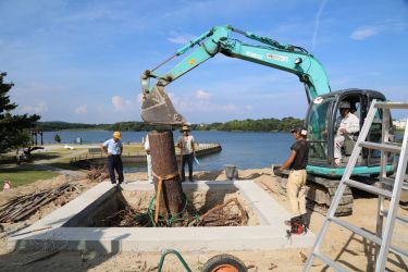 宇部の木 tree of ube