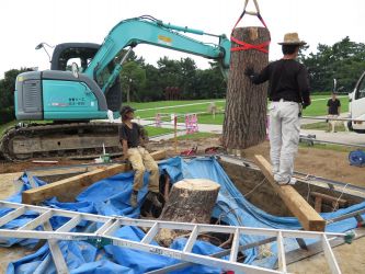 宇部の木 tree of ube