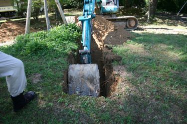 宇部の木 tree of ube