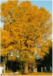 2018年_賀曽利正義さん撮影