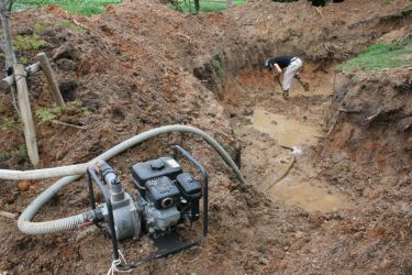 宇部の木 tree of ube