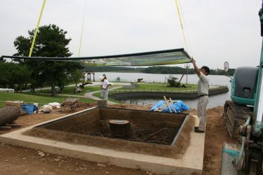 宇部の木 tree of ube