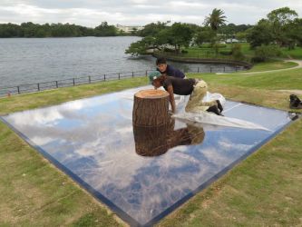 宇部の木 tree of ube