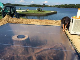 宇部の木 tree of ube