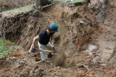 宇部の木 tree of ube